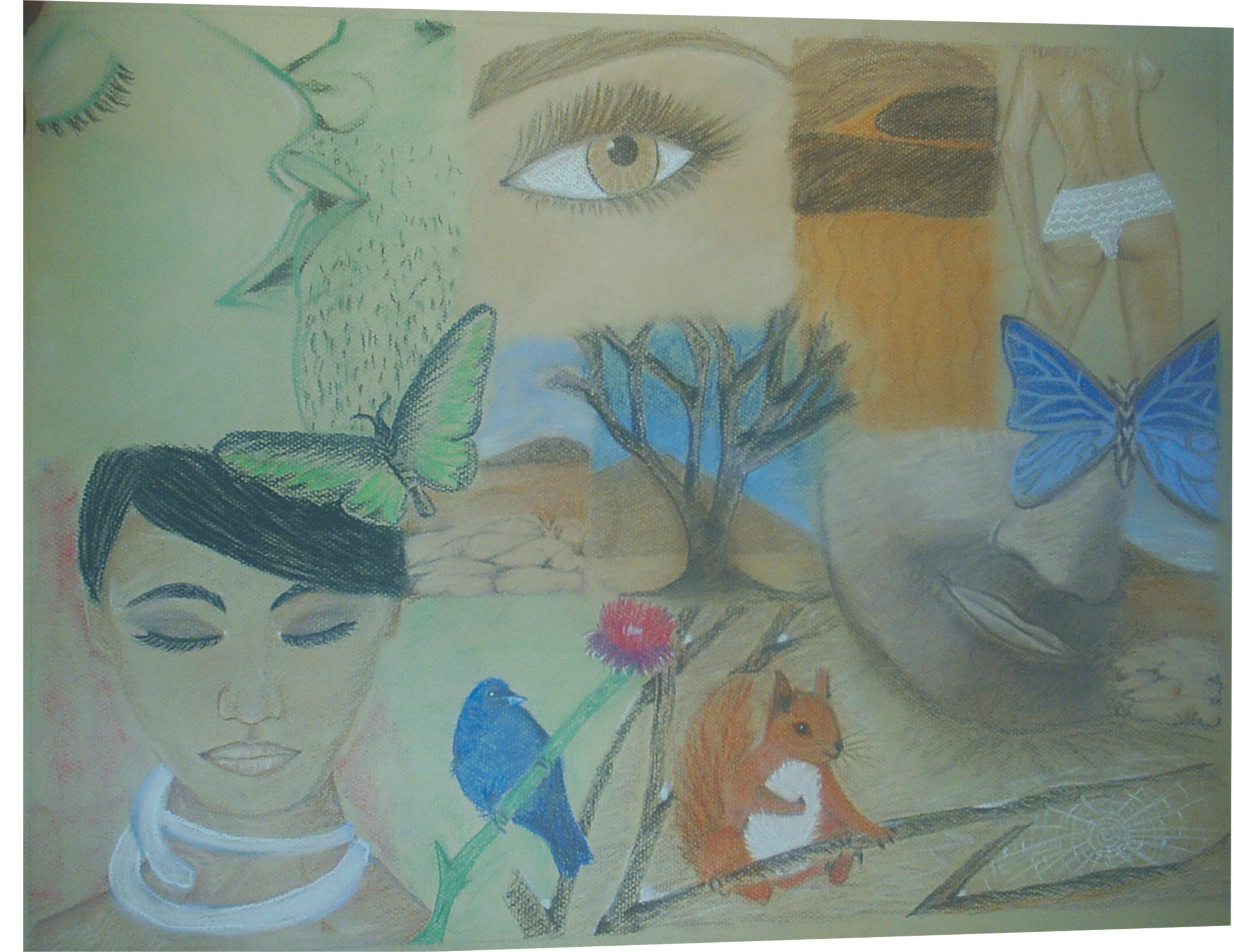 Soft pastel drawing on pastel paper - Collage